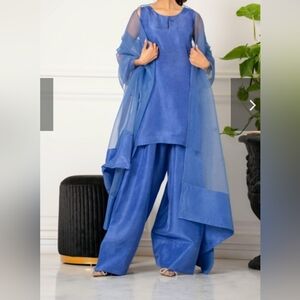 Long Sleeve Pakistani Designer Outfit